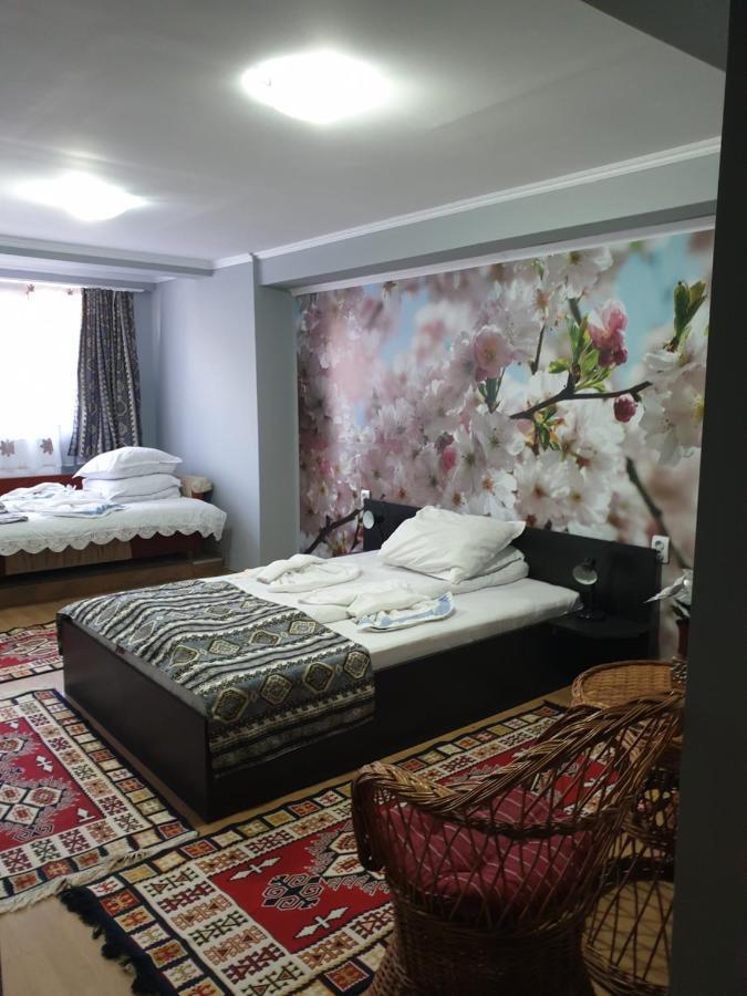 Vila Muntii Bucegi & Spa برانْ المظهر الخارجي الصورة