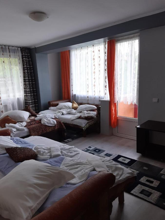 Vila Muntii Bucegi & Spa برانْ المظهر الخارجي الصورة