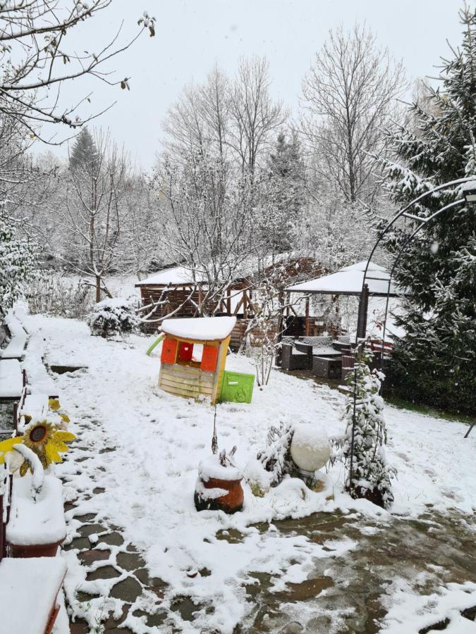 Vila Muntii Bucegi & Spa برانْ المظهر الخارجي الصورة