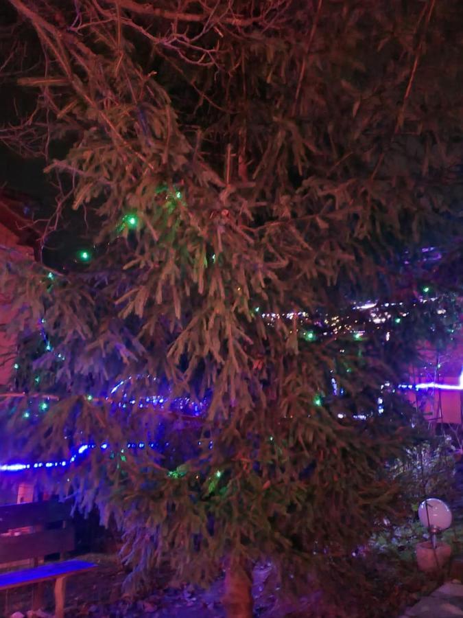 Vila Muntii Bucegi & Spa برانْ المظهر الخارجي الصورة