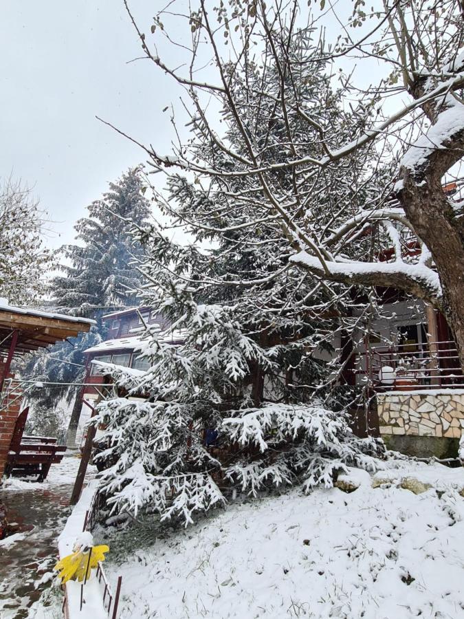 Vila Muntii Bucegi & Spa برانْ المظهر الخارجي الصورة