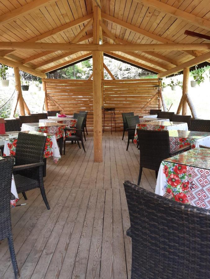 Vila Muntii Bucegi & Spa برانْ المظهر الخارجي الصورة