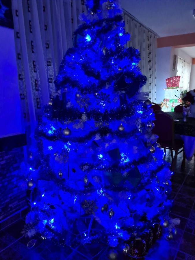 Vila Muntii Bucegi & Spa برانْ المظهر الخارجي الصورة