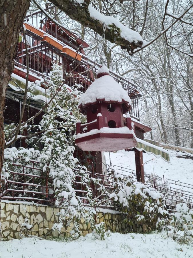 Vila Muntii Bucegi & Spa برانْ المظهر الخارجي الصورة