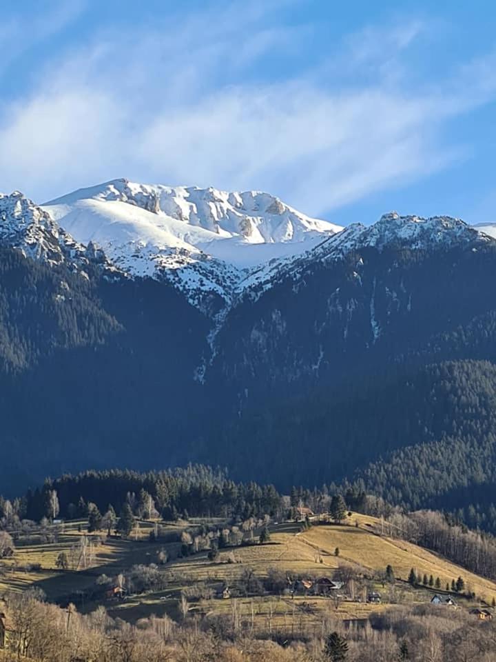 Vila Muntii Bucegi & Spa برانْ المظهر الخارجي الصورة