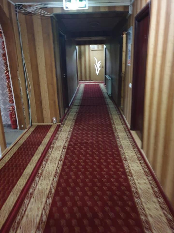 Vila Muntii Bucegi & Spa برانْ المظهر الخارجي الصورة