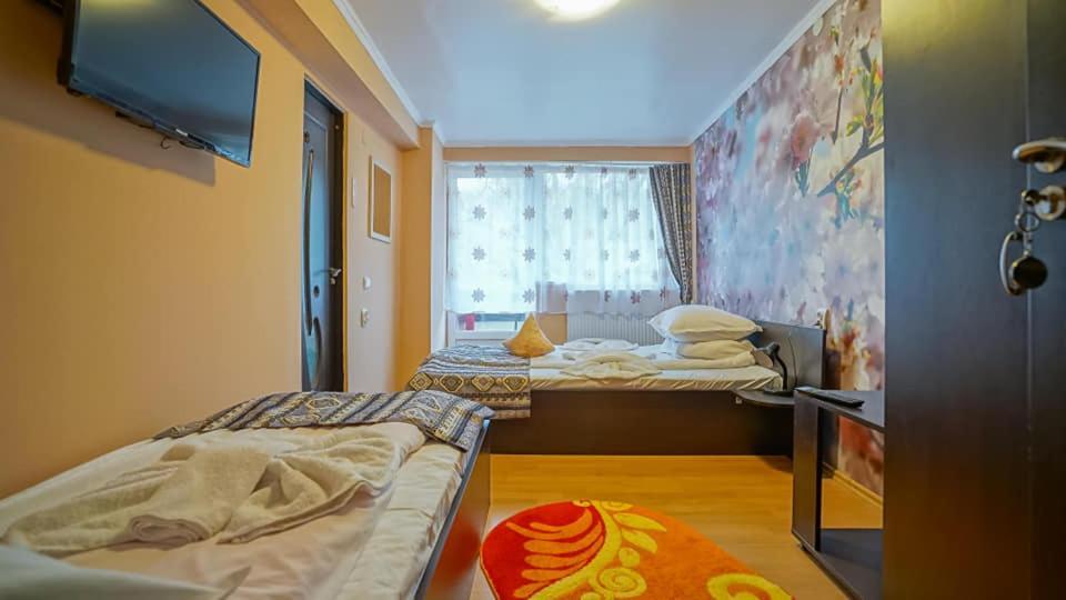 Vila Muntii Bucegi & Spa برانْ المظهر الخارجي الصورة