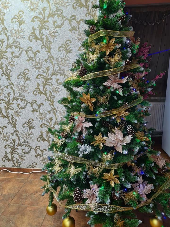 Vila Muntii Bucegi & Spa برانْ المظهر الخارجي الصورة