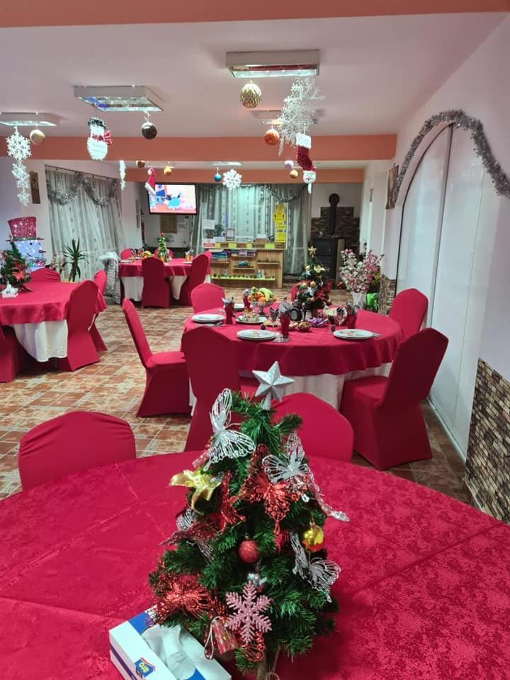 Vila Muntii Bucegi & Spa برانْ المظهر الخارجي الصورة