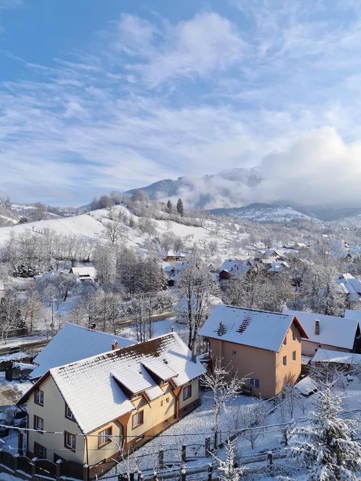 Vila Muntii Bucegi & Spa برانْ المظهر الخارجي الصورة